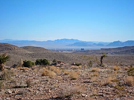 Calico Basin Overlook Trail