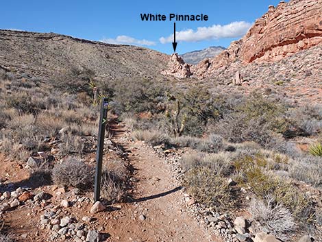 Calico Basin Overlook Trail