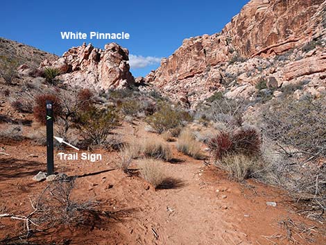 Calico Basin Overlook Trail