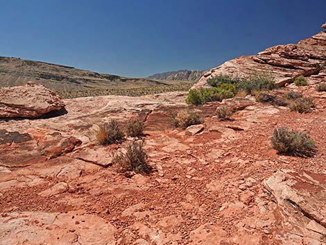 Calico Basin Overlook Trail