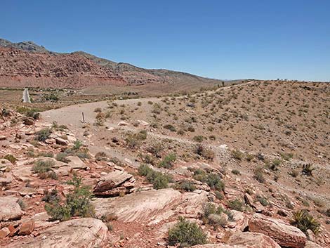 Calico Basin Overlook Trail