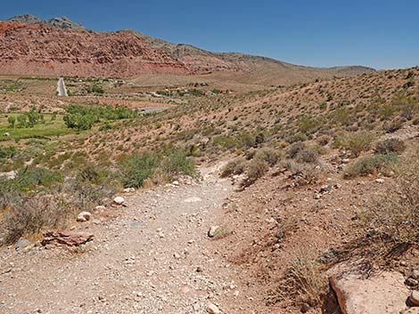 Calico Basin Overlook Trail