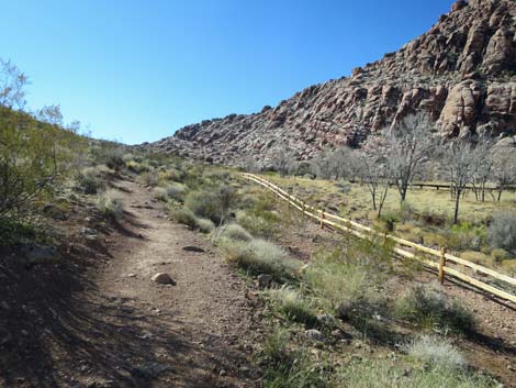 Calico Hills Loop Trail