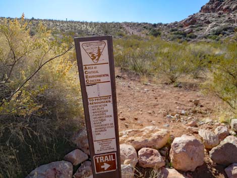 Calico Basin Overlook Trail