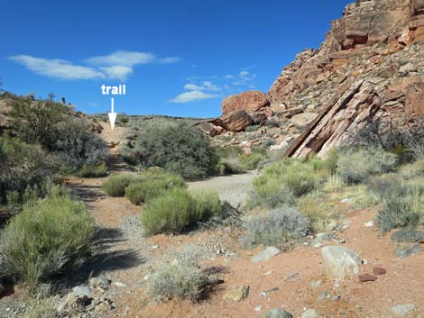 Calico Basin Overlook Trail