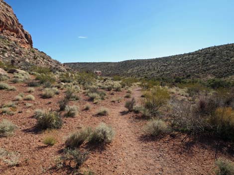 Calico Basin Overlook Trail