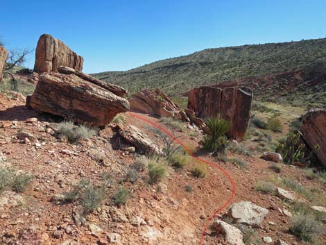 Calico Basin Overlook Trail