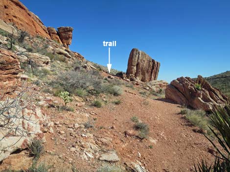 Calico Basin Overlook Trail