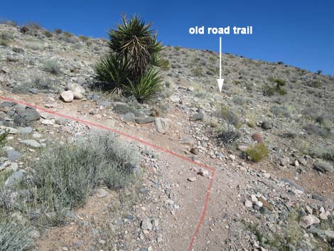 Calico Basin Overlook Trail