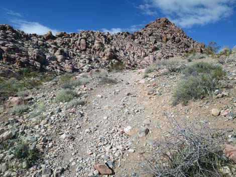 Calico Basin Overlook Trail