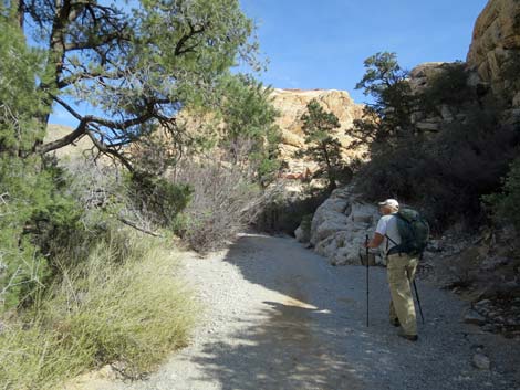 Calico Tanks Trail