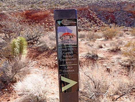 Calico Wash Trail