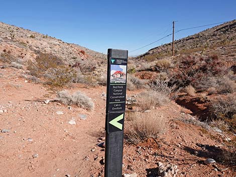 Calico Wash Trail