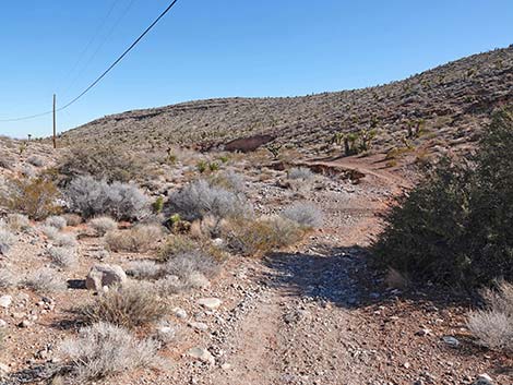 Calico Wash Trail