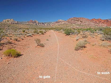 Calico Wash Trail