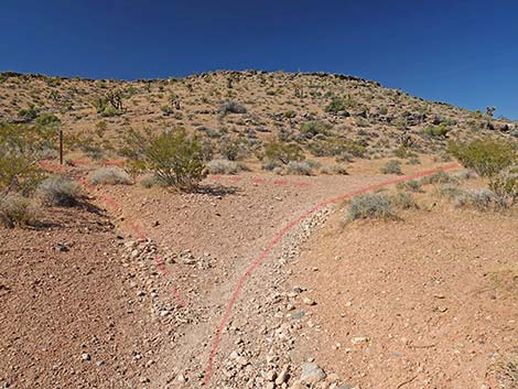 Calico Wash Trail