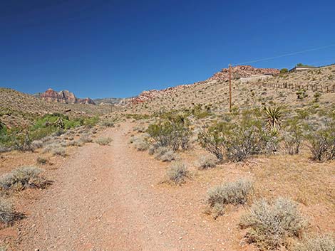 Calico Wash Trail