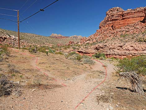 Calico Wash Trail