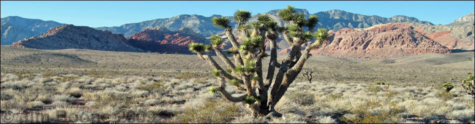 Red Rock Canyon Campground Area