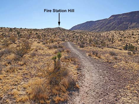 Fire Station Hill Trail