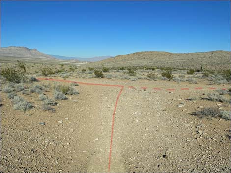 Campground Flats Loop Trail