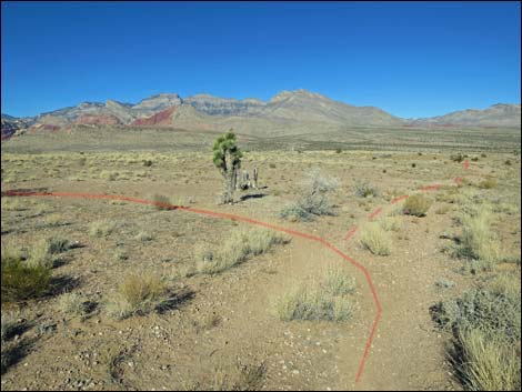 Campground Flats Loop Trail