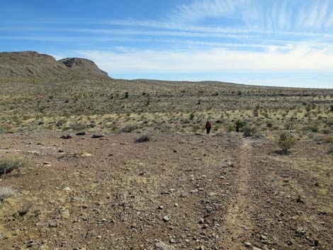 Gun Range Ridge Loop