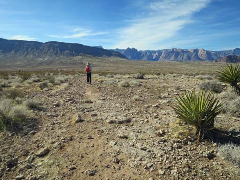 Gun Range Ridge Loop