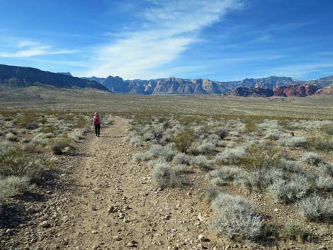 Gun Range Ridge Loop