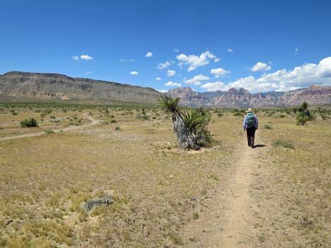 Campground Wash Trail