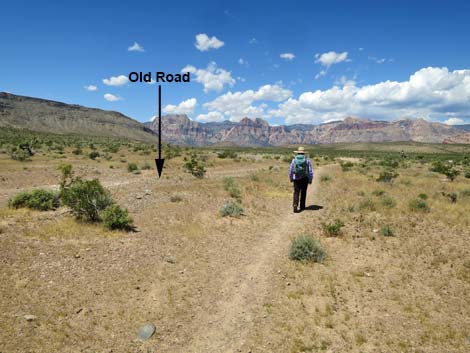 Campground Wash Trail