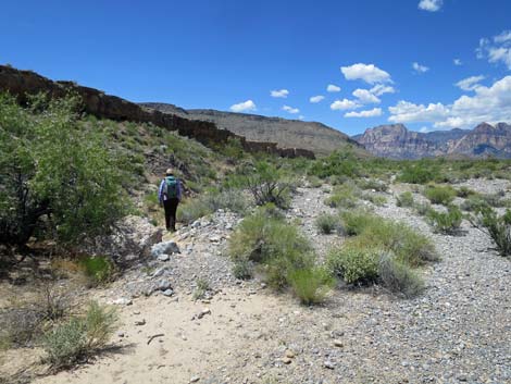 Campground Wash Trail