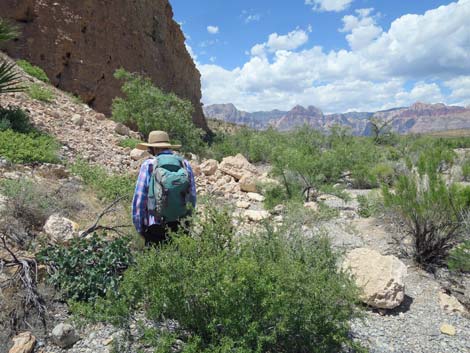 Campground Wash Trail