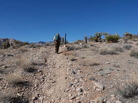 Entrance Station to Calico Basin Trail