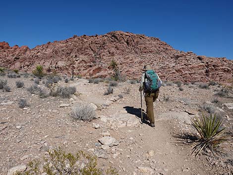 Entrance Station to Calico Basin Trail