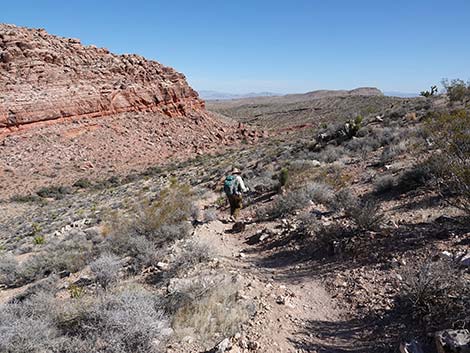 Entrance Station to Calico Basin Trail