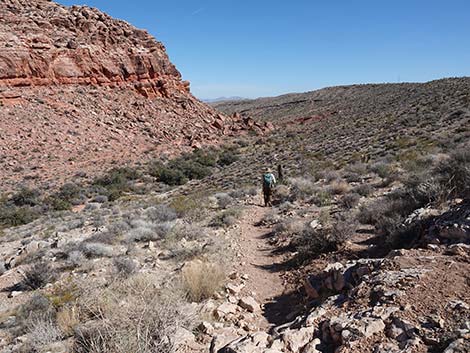 Entrance Station to Calico Basin Trail