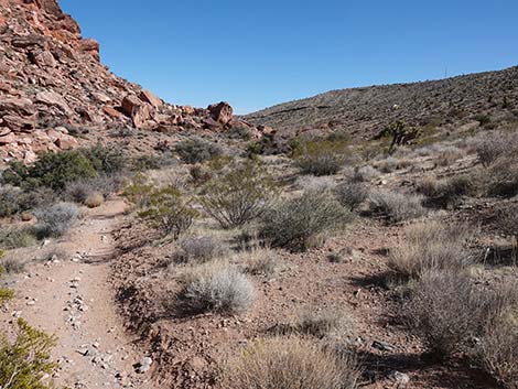 Entrance Station to Calico Basin Trail