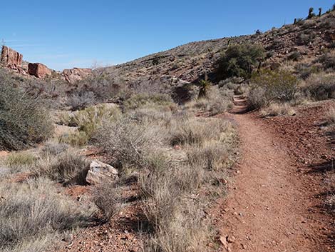 Entrance Station to Calico Basin Trail