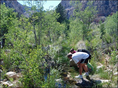 Escarpment Route