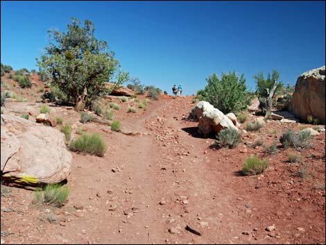 Escarpment Trail