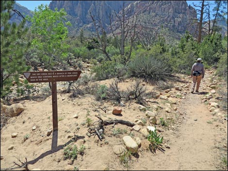 Fire Ecology Trail