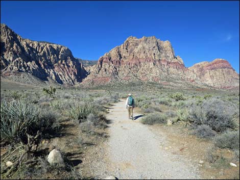 First Creek Canyon