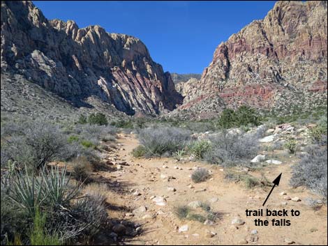 First Creek Canyon