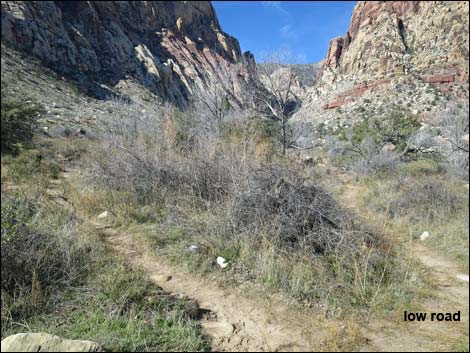 First Creek Canyon