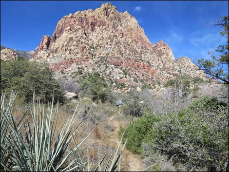 First Creek Canyon