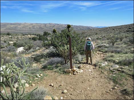 First Creek Canyon