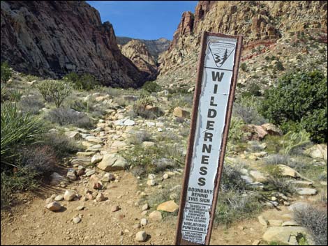 First Creek Canyon