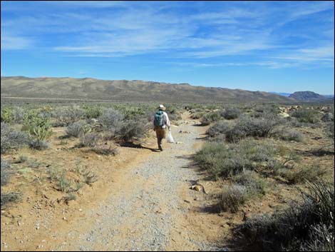 First Creek Canyon