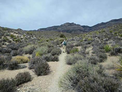 Grand Circle Trail